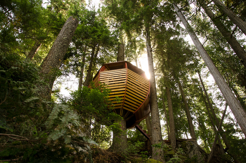 Illustration for article titled These Are The Most Amazing Tree Houses Ever